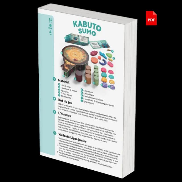 règle de Kabuto Sumo