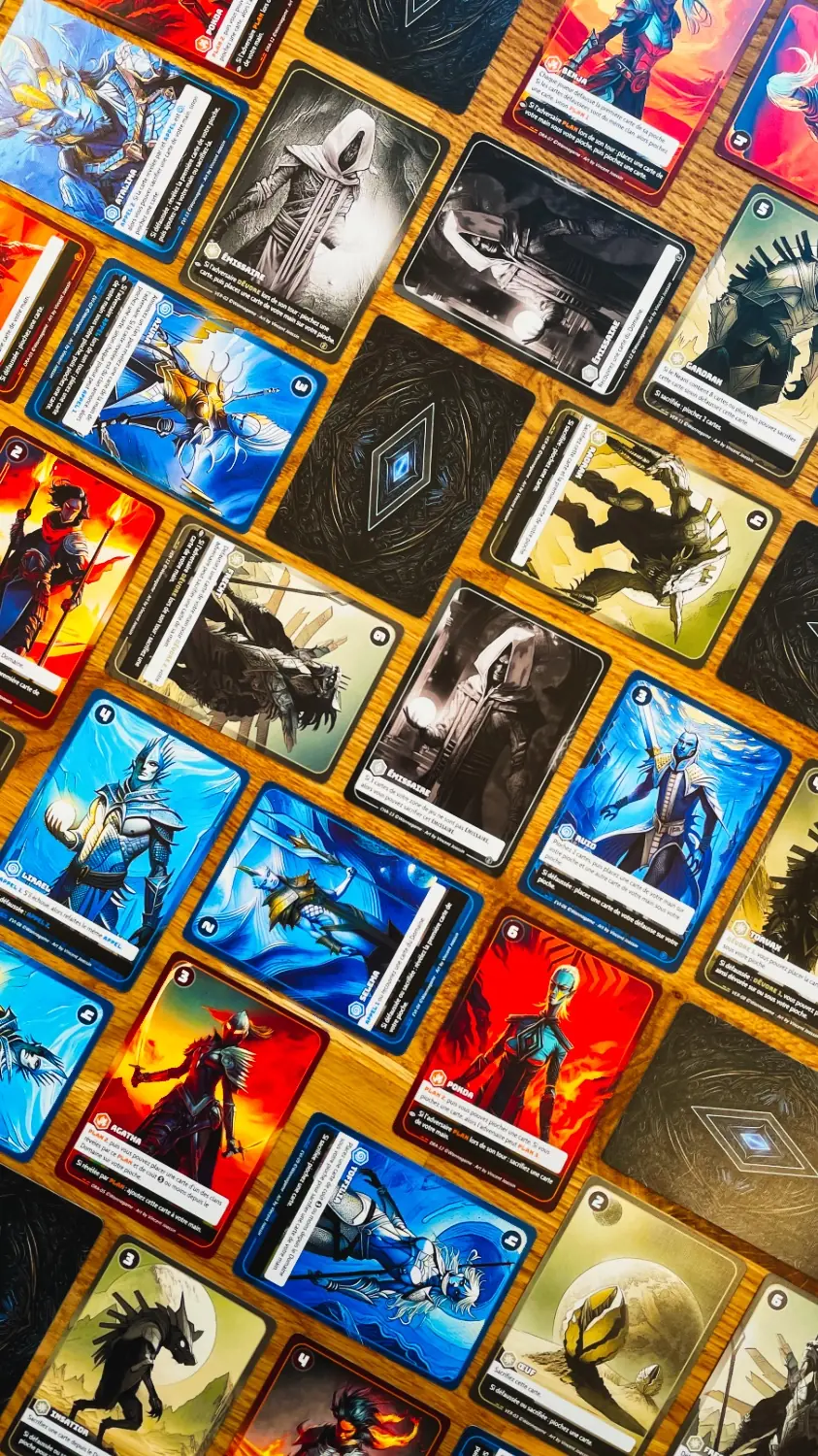 Jeux /images/Jeux/jeux-deux/duel-of-chaos/IMG_3989.webp