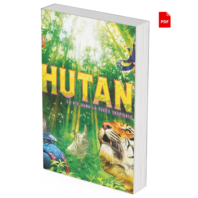 règle de Hutan